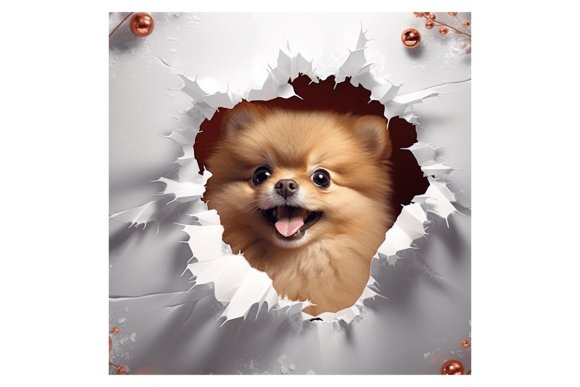 Christmas Pomeranian Broken Wall 5: A Review for Crafters and Illustrations